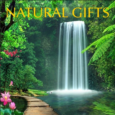 Your Natural Soul Gifts